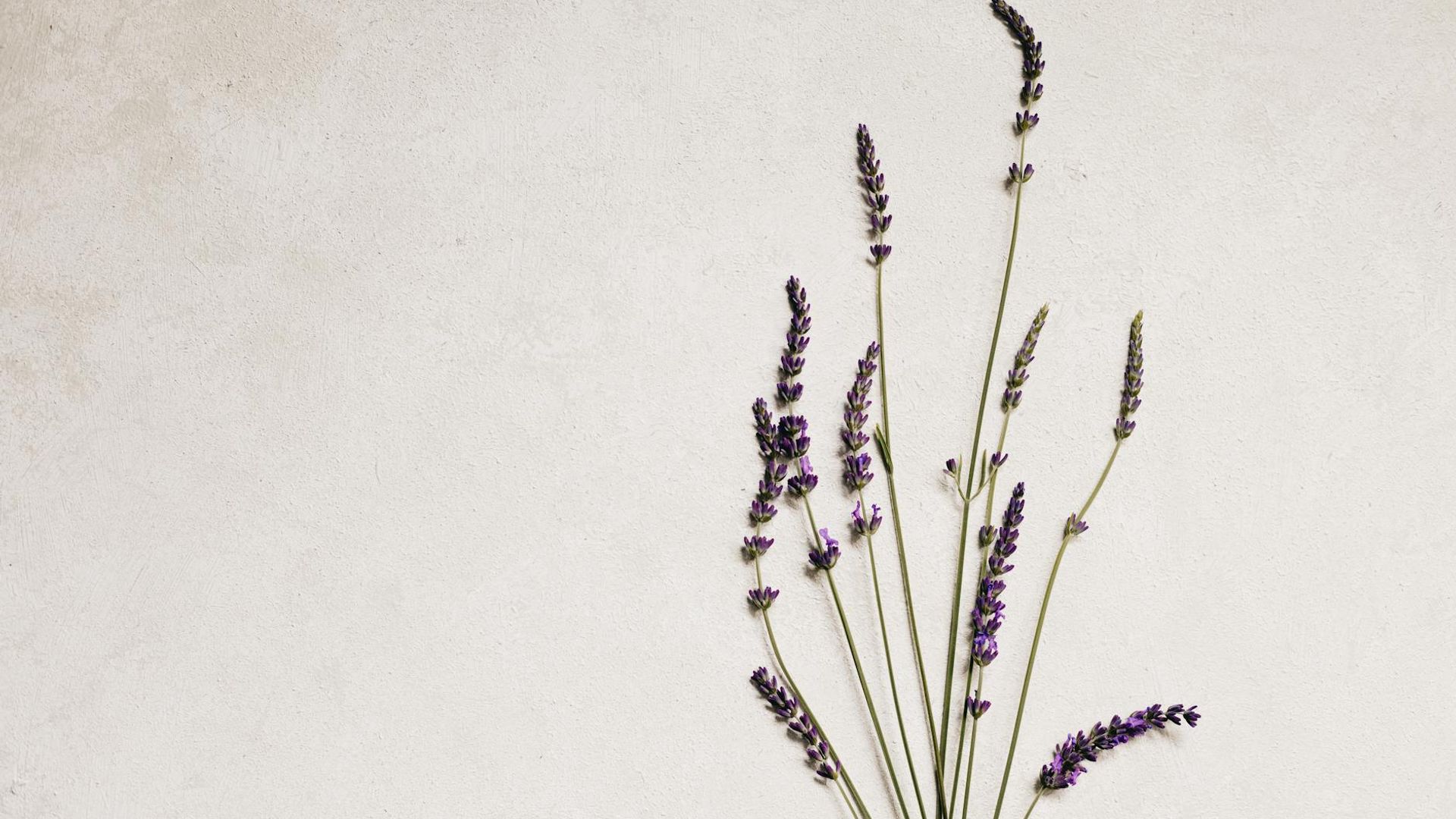 Serene yoga space with soft purple light.